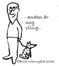 Anden &auml;r nog villig. Copyright Brita Wanng&aring;rd