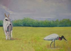Pantanal with Jabiru and cattle