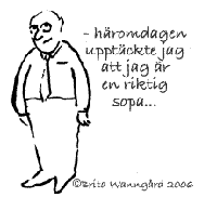 H&auml;romdagen uppt&auml;ckte jag att jag &auml;r en riktig sopa. Copyright Brita Wanng&aring;rd